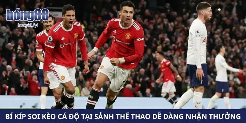 Bí kíp soi kèo cá độ tại sảnh thể thao dễ dàng nhận thưởng