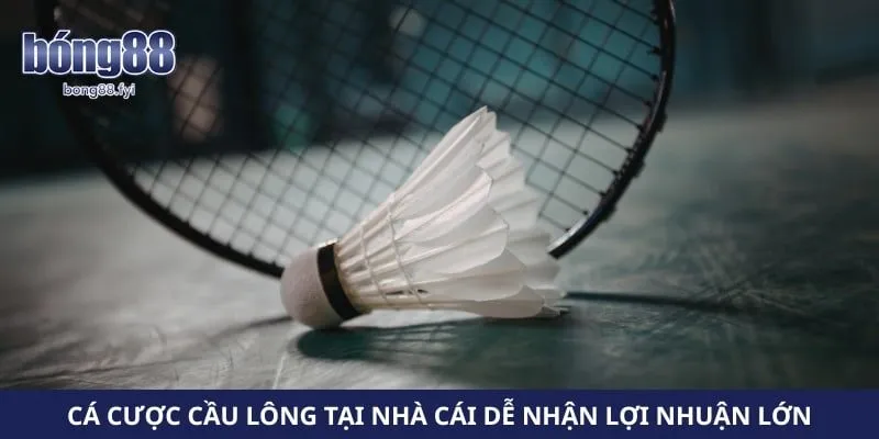 Cá cược cầu lông tại nhà cái dễ nhận lợi nhuận lớn