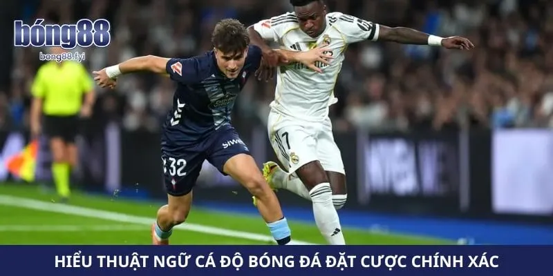 Hiểu thuật ngữ cá độ bóng đá đặt cược chính xác