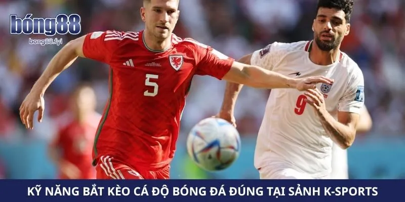 Kỹ năng bắt kèo cá độ bóng đá đúng tại sảnh K-Sports