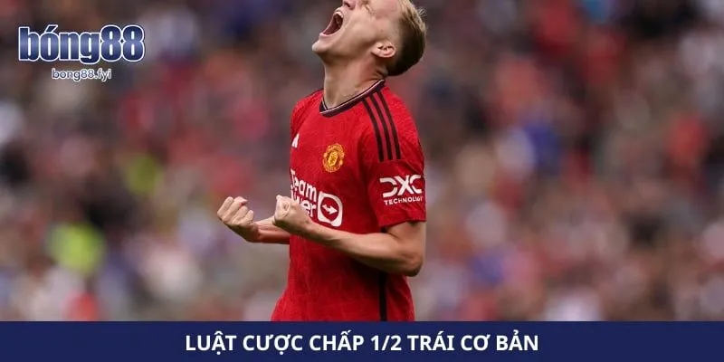 Luật cược chấp 1/2 trái cơ bản