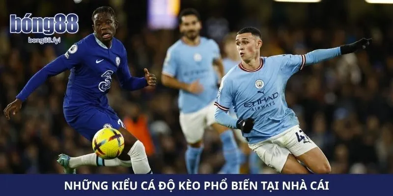 Những kiểu cá độ kèo phổ biến tại nhà cái