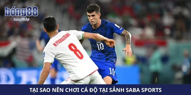 Tại sao nên chơi cá độ tại sảnh saba sports 